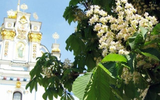 День Києва відзначатимуть онлайн: стали відомі деталі