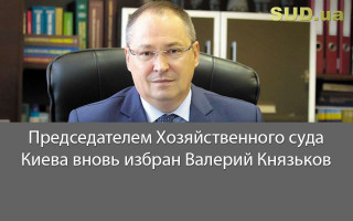 Председателем Хозяйственного суда Киева вновь избран Валерий Князьков