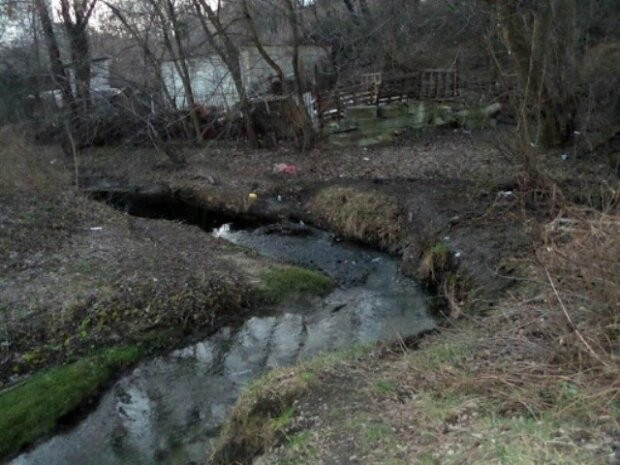 В Киеве загрязнение одной из рек достигло критического уровня, фото