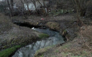 В Киеве загрязнение одной из рек достигло критического уровня, фото