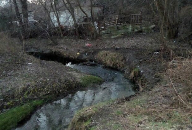 В Киеве загрязнение одной из рек достигло критического уровня, фото