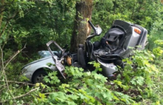 Смертельна ДТП на Київщині: автомобіль влетів в дерево