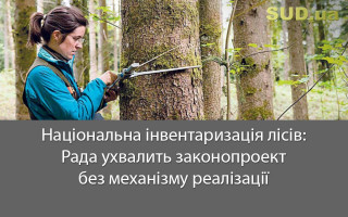 Національна інвентаризація лісів: Рада ухвалить законопроект без механізму реалізації