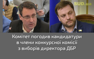 Комітет погодив кандидатури в члени конкурсної комісії з виборів директора ДБР