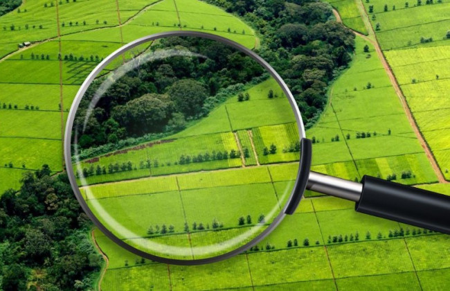 Регистрация земельных участков, исправление ошибок в Земельном кадастре: что изменил Кабмин