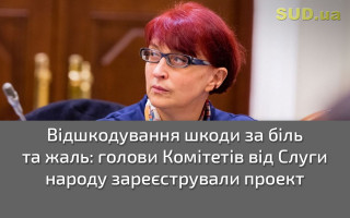 Відшкодування шкоди за біль та жаль: голови Комітетів від Слуги народу зареєстрували проект