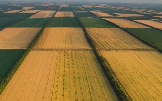 Ринок землі: пояснення законодавчих змін