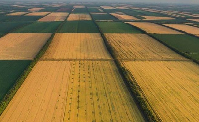 Ринок землі: пояснення законодавчих змін