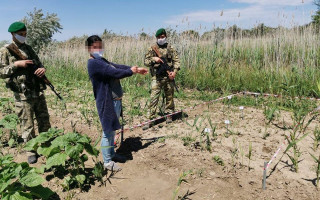 Вів наречену до родичів крізь очерет, оминаючи кордон: в Україні затримали молдаванина