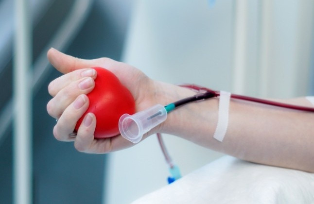 Переливание крови между пенсионерами так же полезно, как и молодой крови: что известно