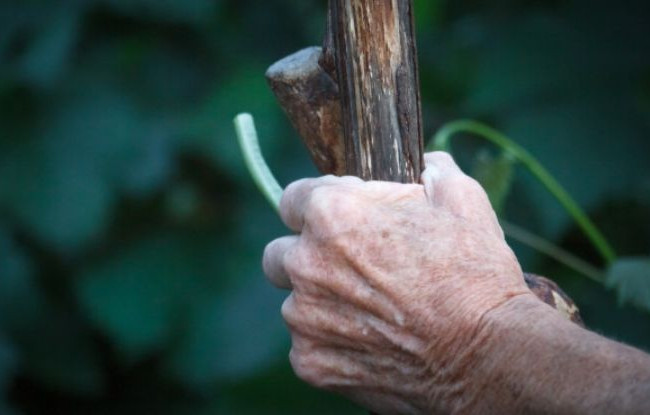 Бив палицею: на Київщині депутат напав на дітей