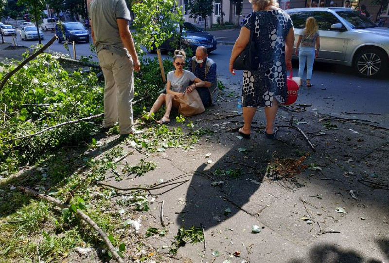 В Киеве на девушку рухнуло дерево: фото и видео с места происшествия