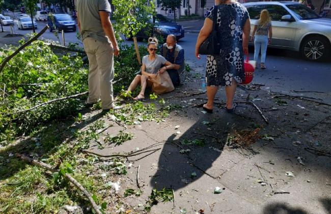 В Киеве на девушку рухнуло дерево: фото и видео с места происшествия