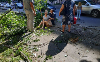 В Киеве на девушку рухнуло дерево: фото и видео с места происшествия