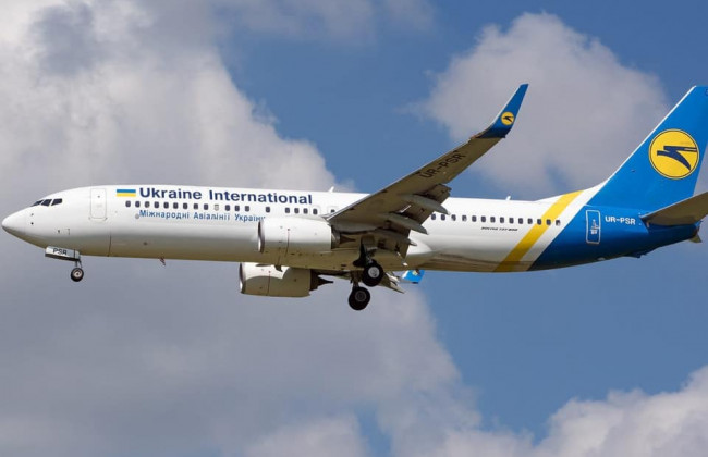 Гибель 38 щенят на самолете МАУ: полиция открыла уголовное производство