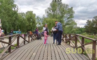 День Конституции близко: сколько будут отдыхать украинцы