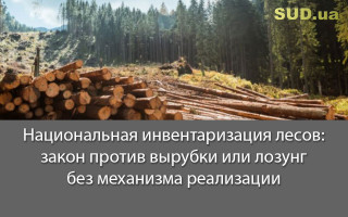 Национальная инвентаризация лесов: закон против вырубки или лозунг без механизма реализации