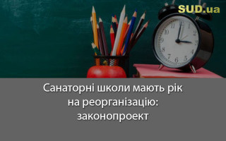 Санаторні школи мають рік на реорганізацію: законопроект