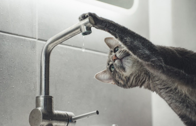 Частина Києва залишилась без водопостачання: перелік вулиць