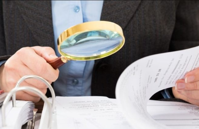 Державна податкова служба затвердила графік проведення планових перевірок