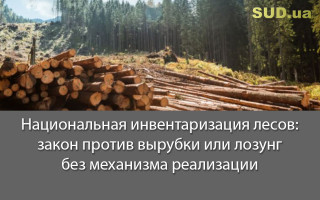 Национальная инвентаризация лесов: закон против вырубки или лозунг без механизма реализации