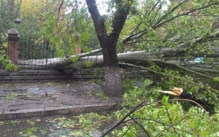 Відшкодування завданої шкоди унаслідок стихійного лиха: права громадян