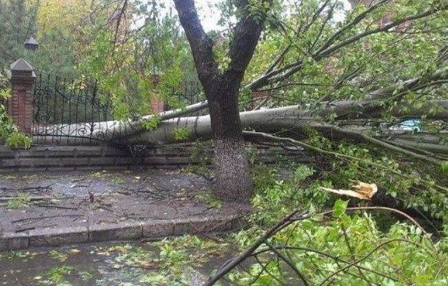 Відшкодування завданої шкоди унаслідок стихійного лиха: права громадян