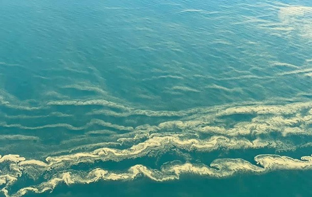 Цветущее зеленое море: необычное зрелище с высоты, фото