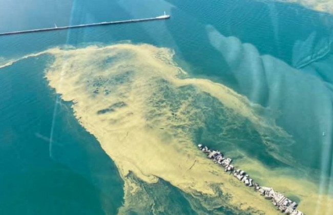 У берегов Одессы зацвело Черное море: впечатляющие фото