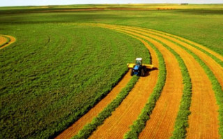 Земельне законодавство: Державна екологічна інспекція пропонує внести зміни