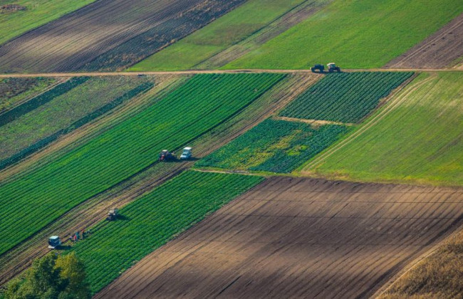 Повільне наповнення Держгеокадастру може негативно вплинути на земельну реформу