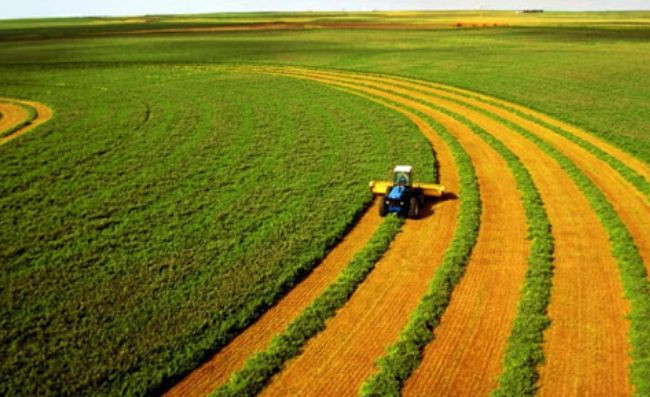 Земельне законодавство: Державна екологічна інспекція пропонує внести зміни