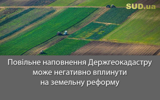 Повільне наповнення Держгеокадастру може негативно вплинути на земельну реформу