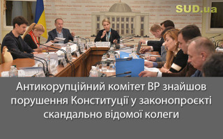 Антикорупційний комітет ВР знайшов порушення Конституції у законопроєкті скандально відомої колеги