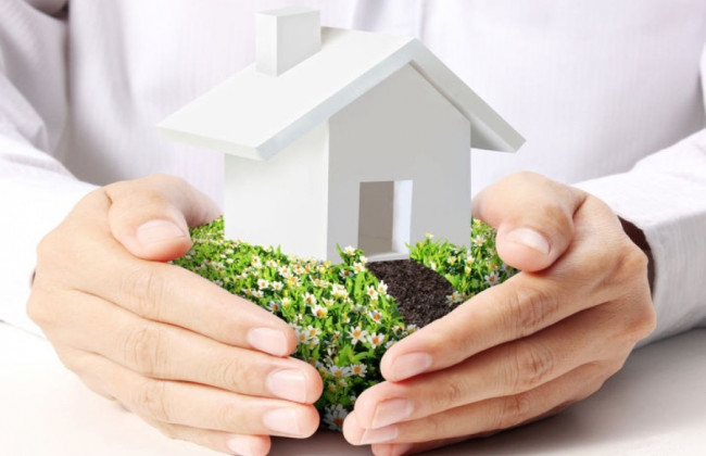 Залишити або усунути дублювання функцій Держгеокадастру та Держекоінспекції: що пропонують депутати