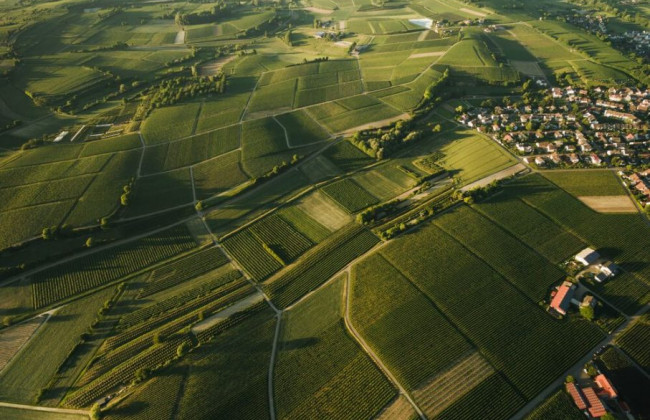 Агрокомітет ВР: від контролюючих функцій Держгеокадастру поки що складно відмовитися