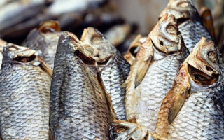 Українців закликають не купувати в’ялену рибу: зафіксовані перші випадки ботулізму