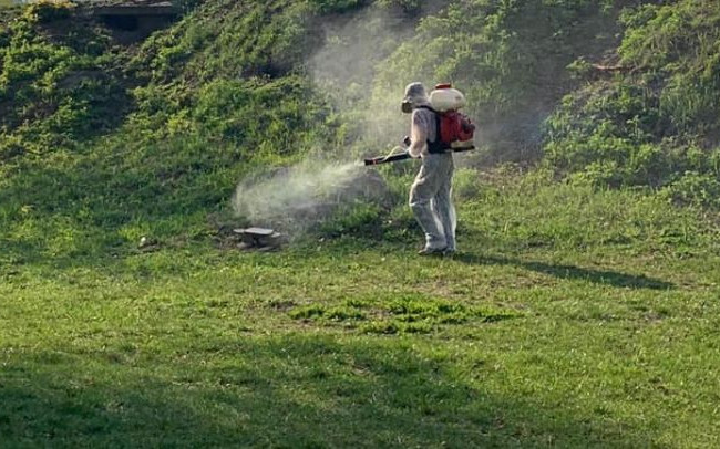 В Киеве парк обработали химикатами: что известно