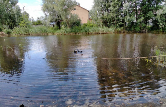 В Дарницком районе Киева в пруду обнаружили тело мужчины