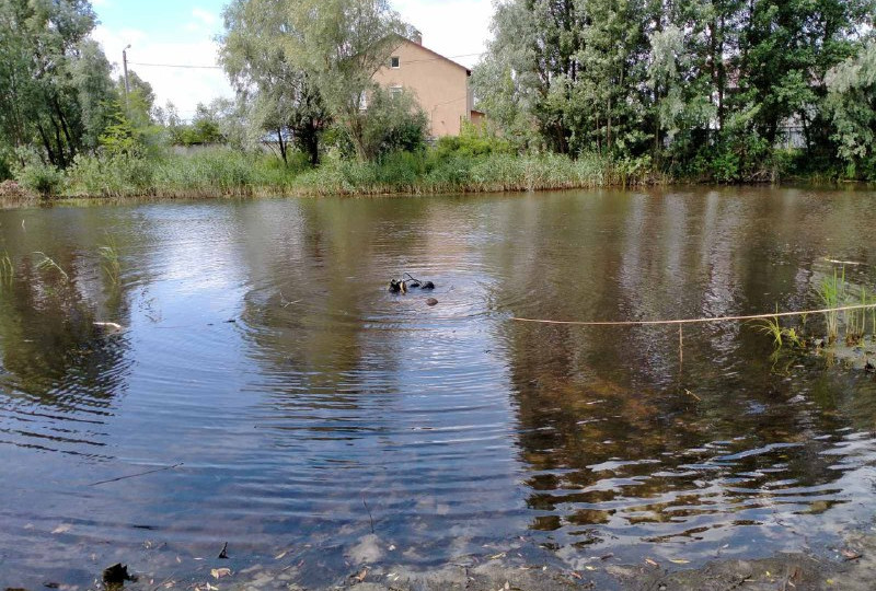 В Дарницком районе Киева в пруду обнаружили тело мужчины