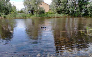 В Дарницком районе Киева в пруду обнаружили тело мужчины