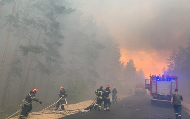 В Луганской области из-за лесных пожаров загорелся полигон бытовых отходов: видео