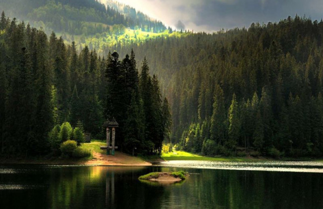 Госэкоинспекция выявила нарушения природоохранного законодательства на 100 млн грн