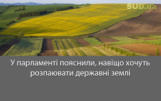 У парламенті пояснили, навіщо хочуть розпаювати державні землі