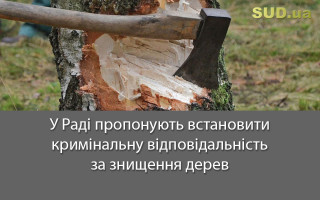 У Раді пропонують встановити кримінальну відповідальність за знищення дерев