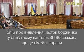 Спір про виділення часток боржника у статутному капіталі: ВП ВС вважає, що це сімейні справи