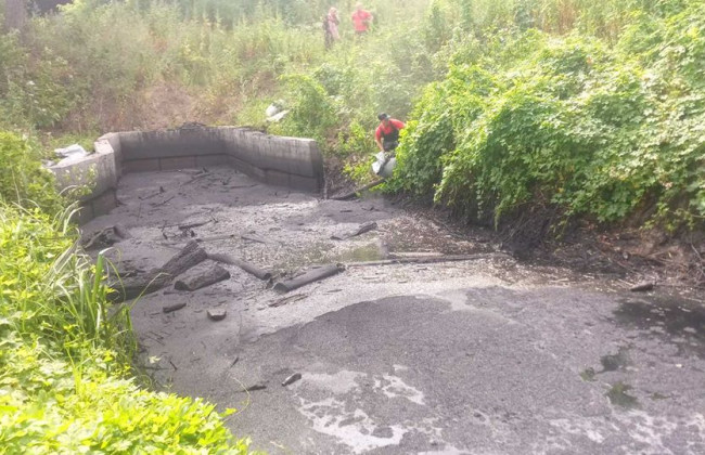 В Киеве озеро залили нечистотами