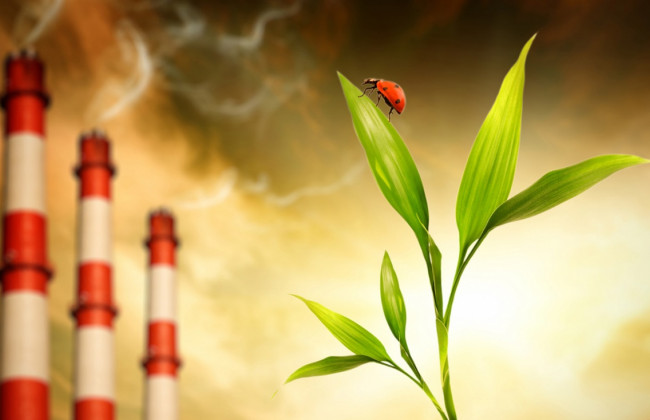 7ААС зупинив діяльність підприємства, що завдає шкоди довкіллю