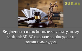 Виділення часток боржника у статутному капіталі: ВП ВС визначила підсудність загальним судам