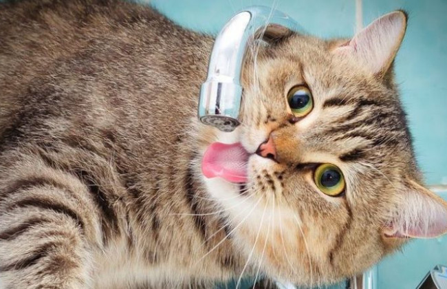 В одном столичном районе отключат горячую воду